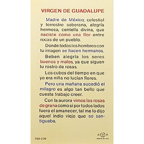 Virgen de Guadalupe, Madre (Our Lady of Guadalupe) - Spanish Prayer Card
