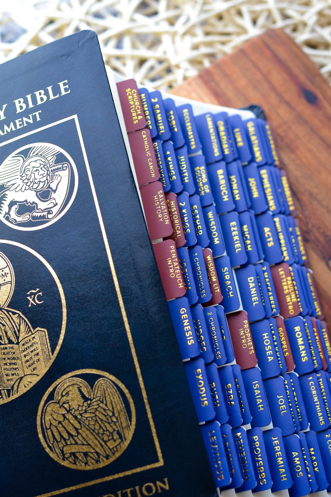 Ignatius Study Catholic Bible Tabs