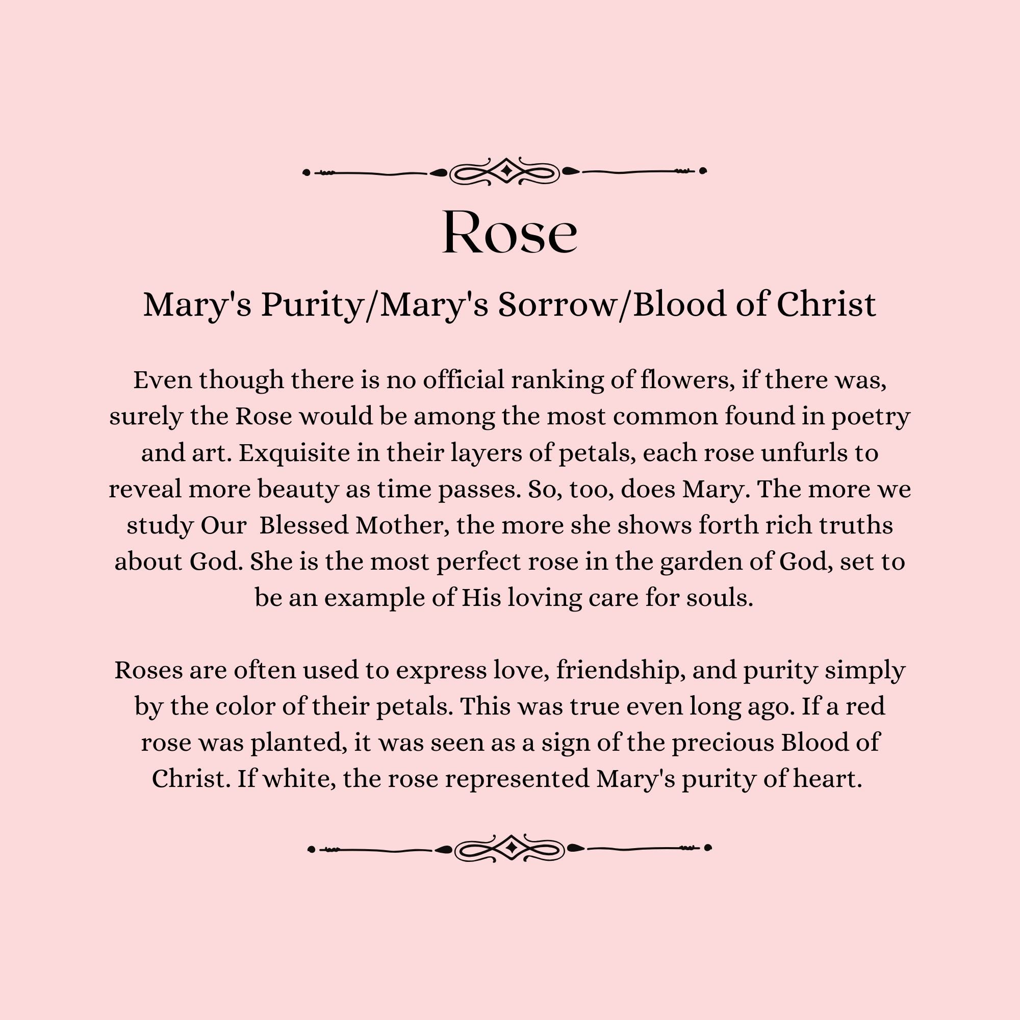 Our Lady's Garden: A Parent-Child Reader