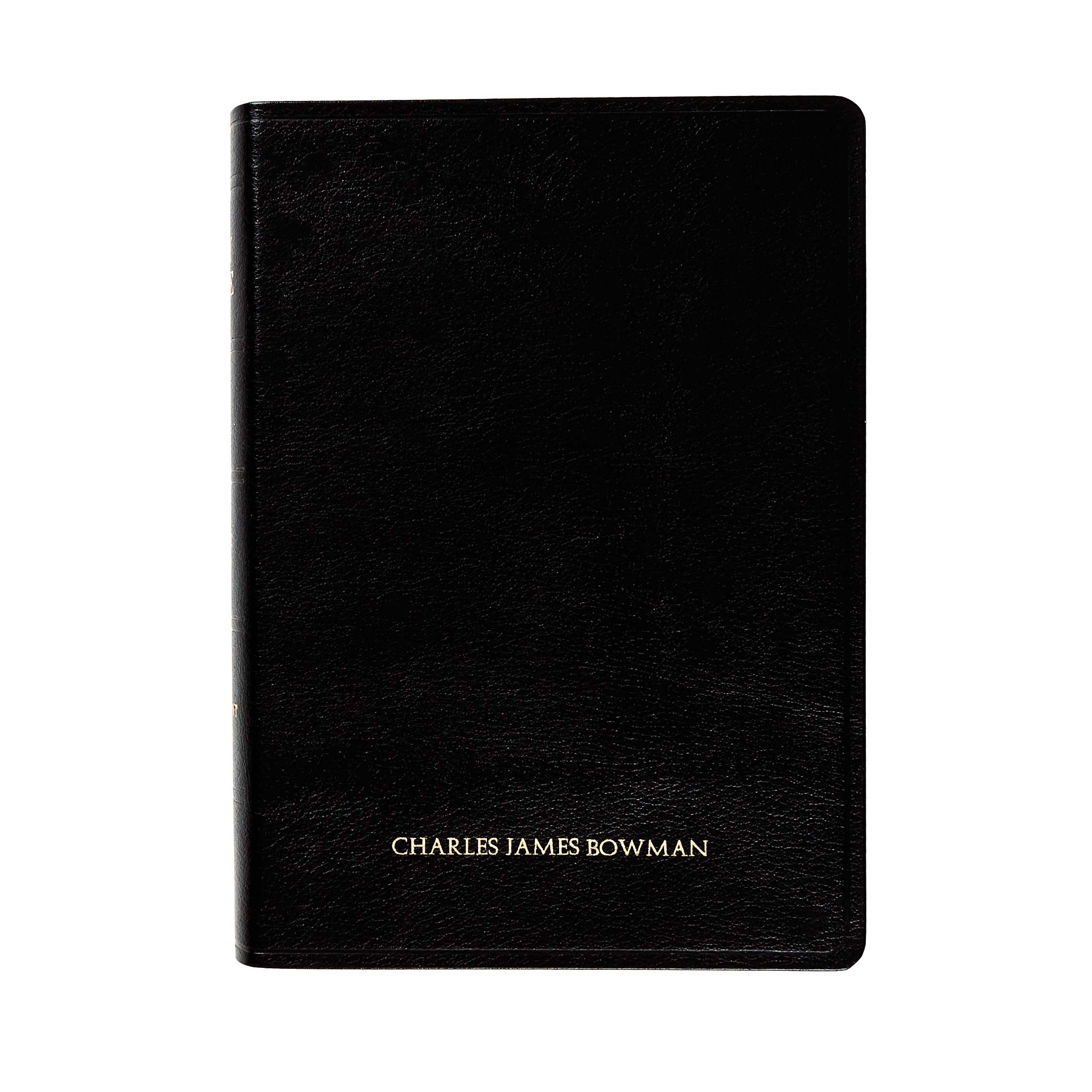 RSV Catholic Bible Large Print - Bonded Leather & Indexed