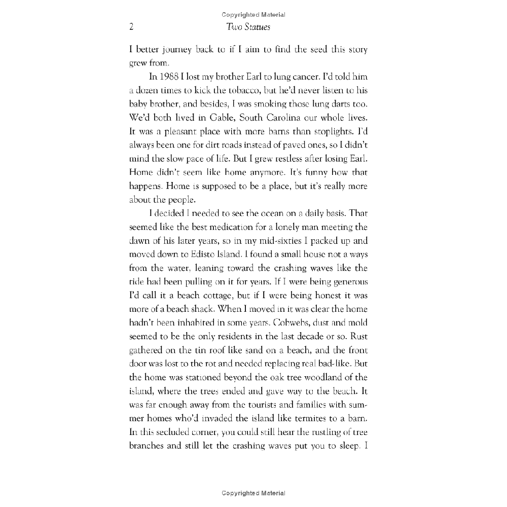 Two Statues - A Novel