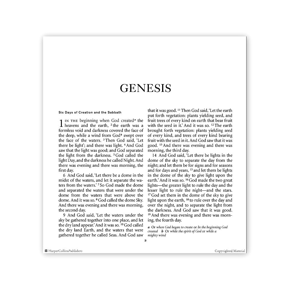 NRSV Extra Large Print Catholic Bible - Navy Leathersoft