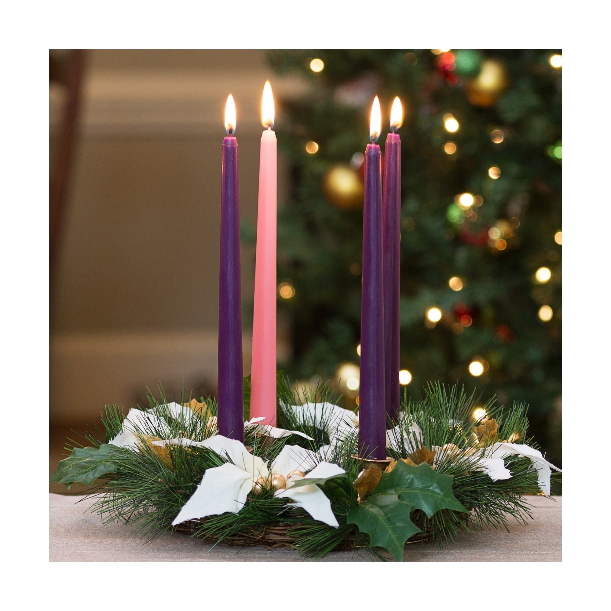 White Poinsettia Advent Wreath
