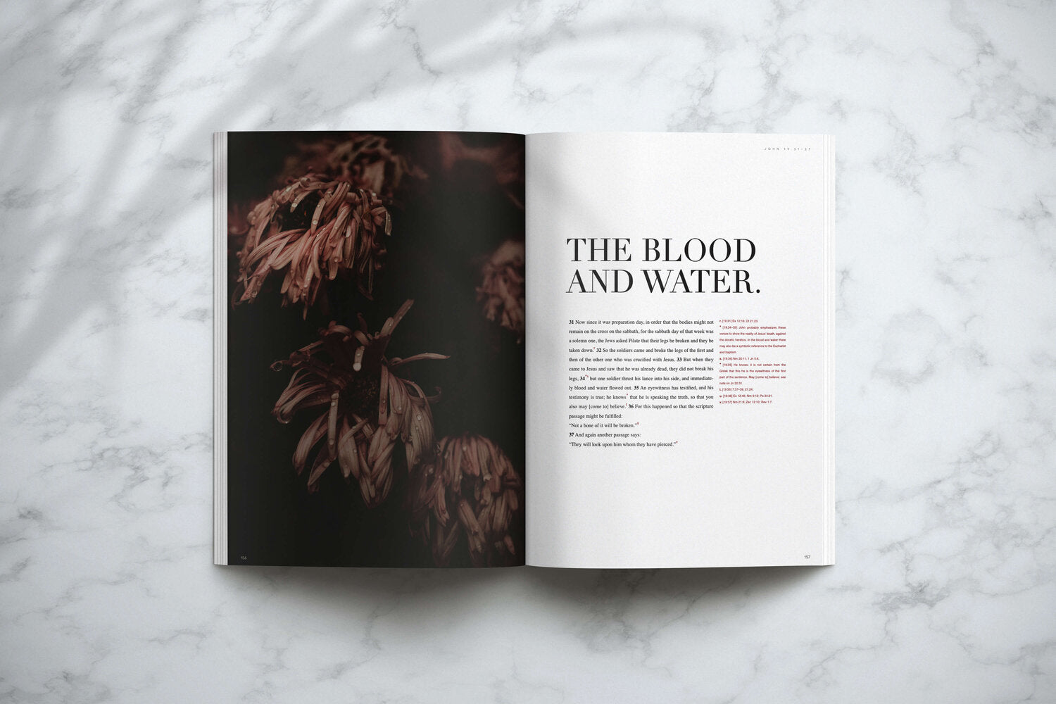 The Gospel of John (NABRE) - Contemplative Kindred Bible