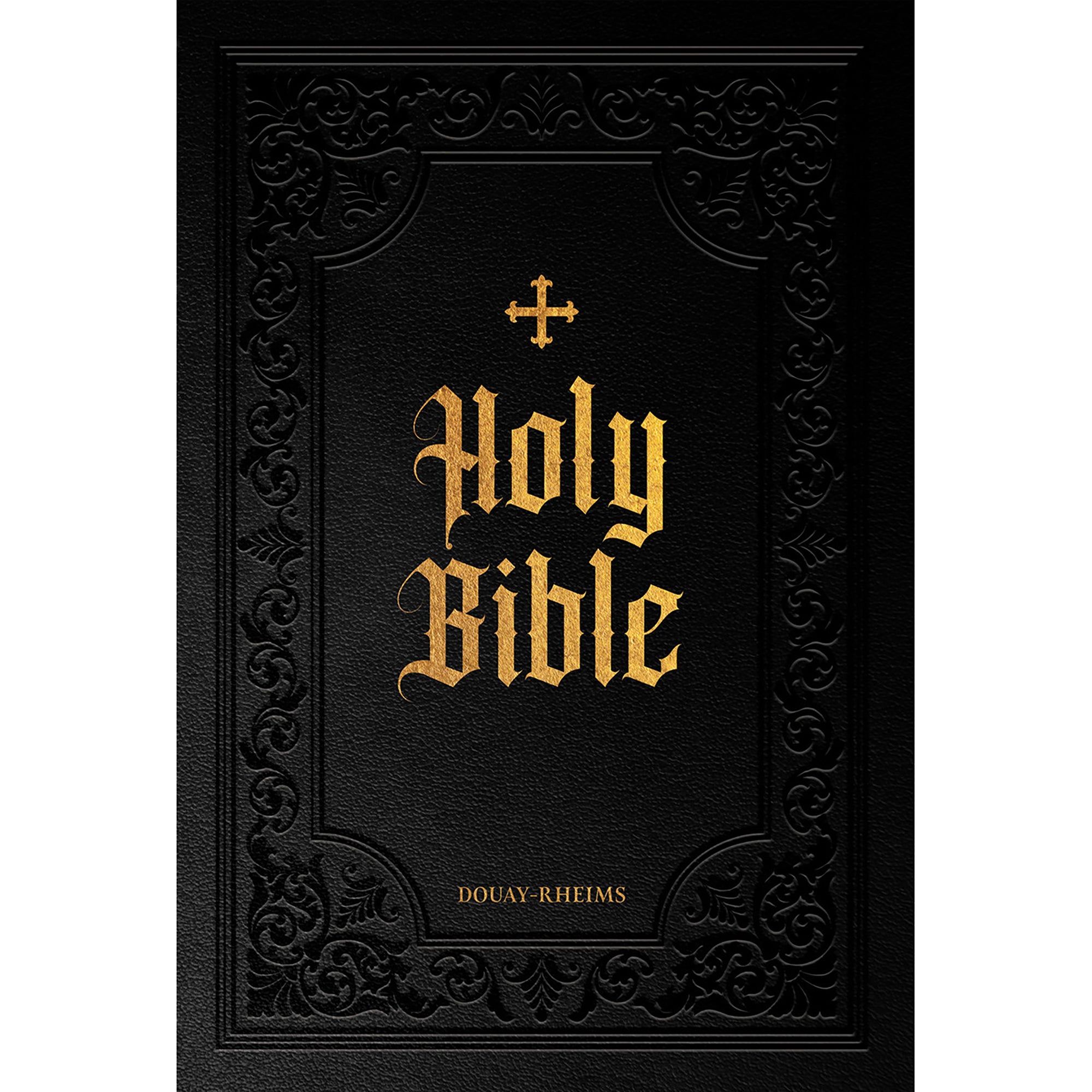 Douay Rheims Bible Large Print Edition