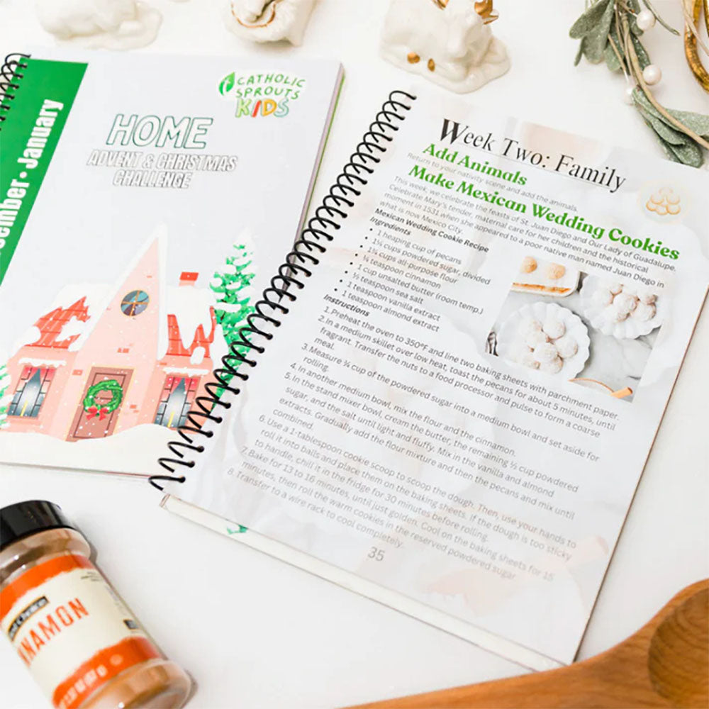 Home Advent & Christmas Challenge