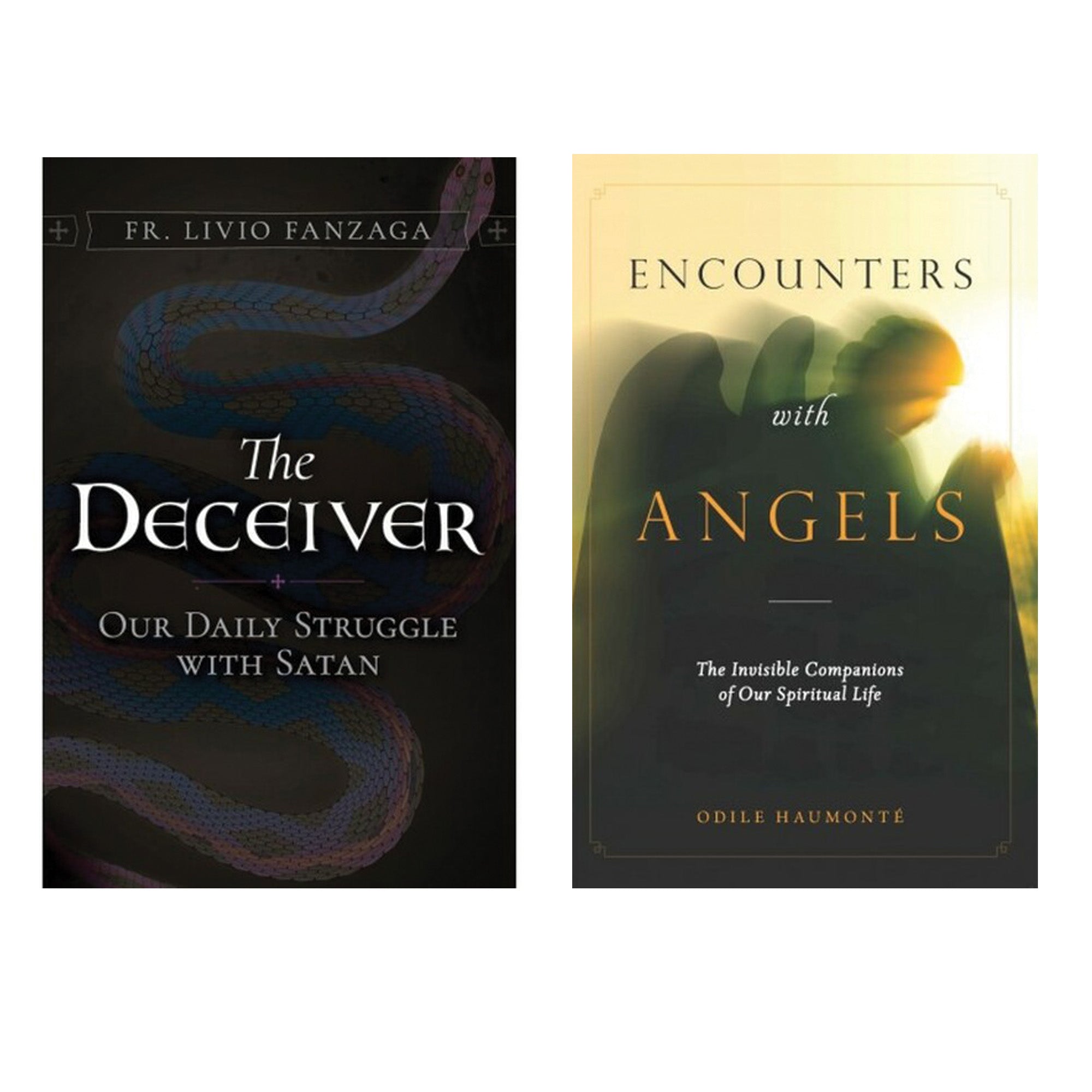 The Deceiver & Encounters with Angels (2 Book Set)