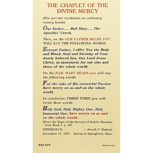 The Chaplet of the Divine Mercy Prayer Card