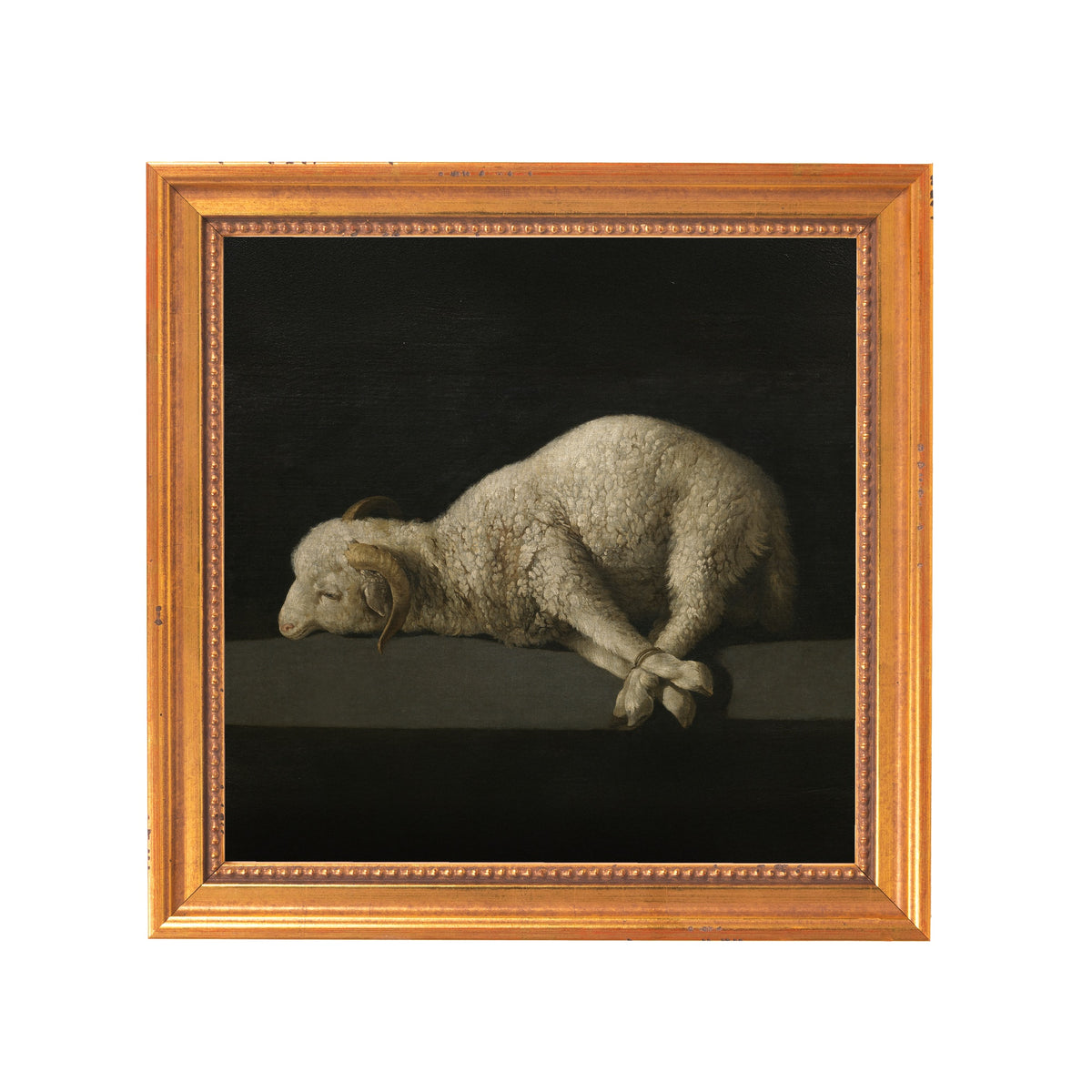 Framed painting of a dead lamb, oil on canvas with gold frame, Renaissance style.