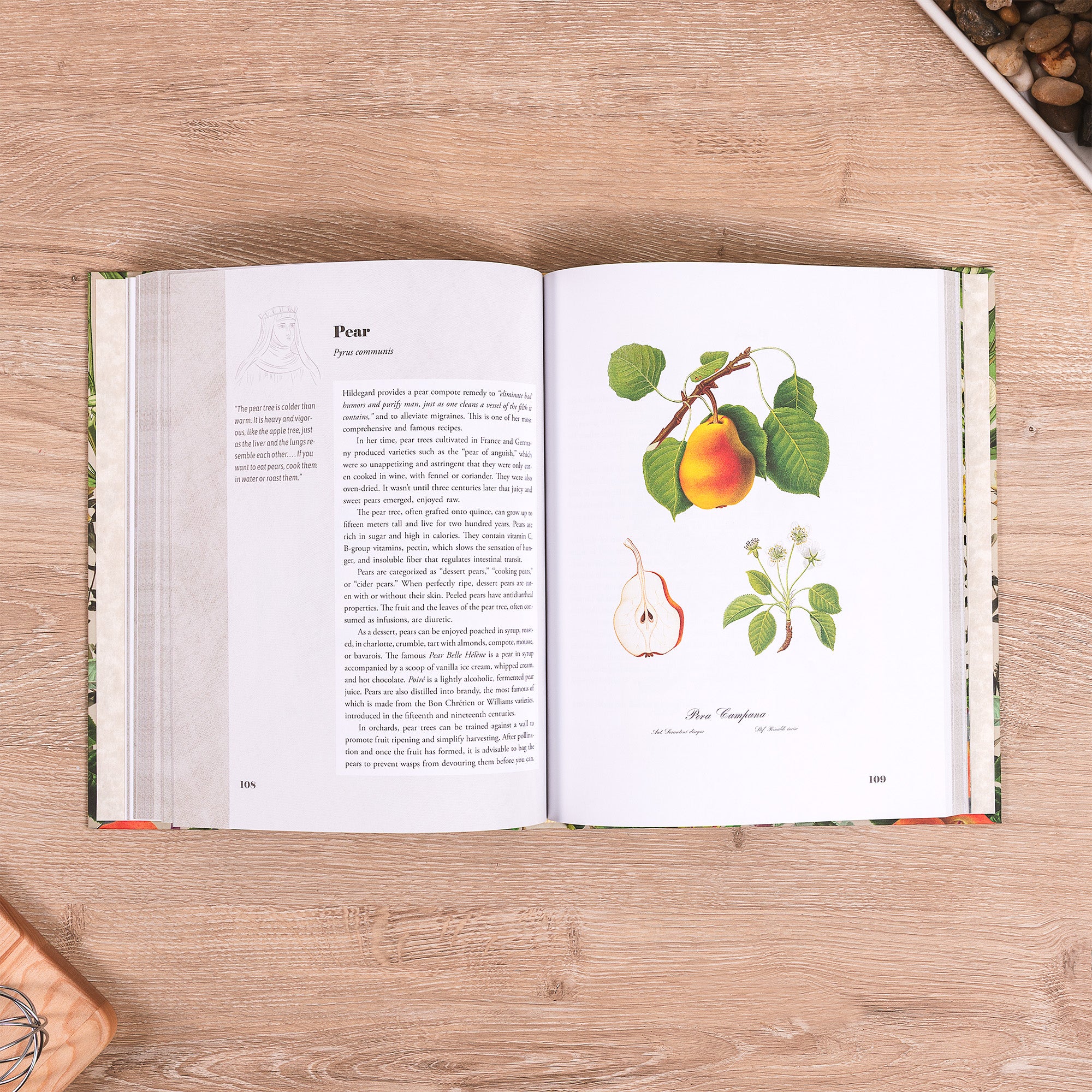 St. Hildegard's Garden: Recipes and Remedies for Healing Body and Soul