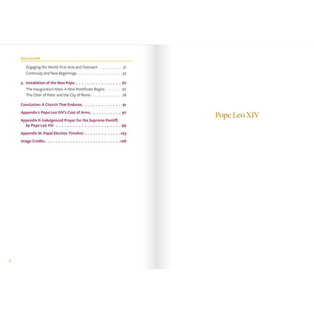 Pope Leo XIV: The Election of a Pope in Pictures