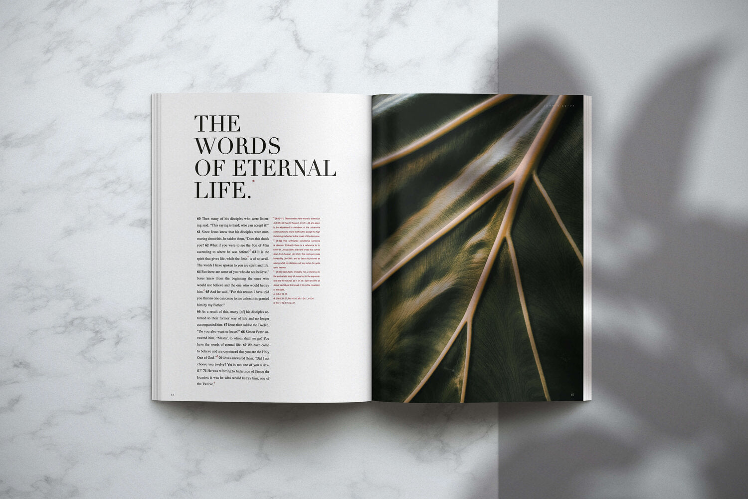 The Gospel of John (NABRE) - Contemplative Kindred Bible