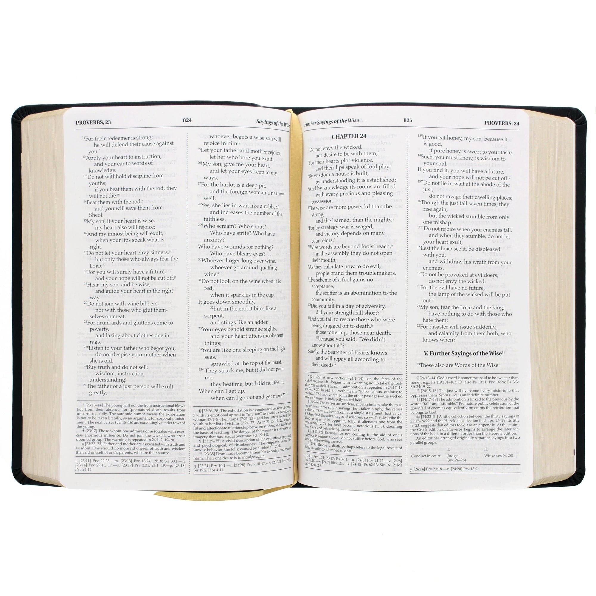 Queen of Angels Bible