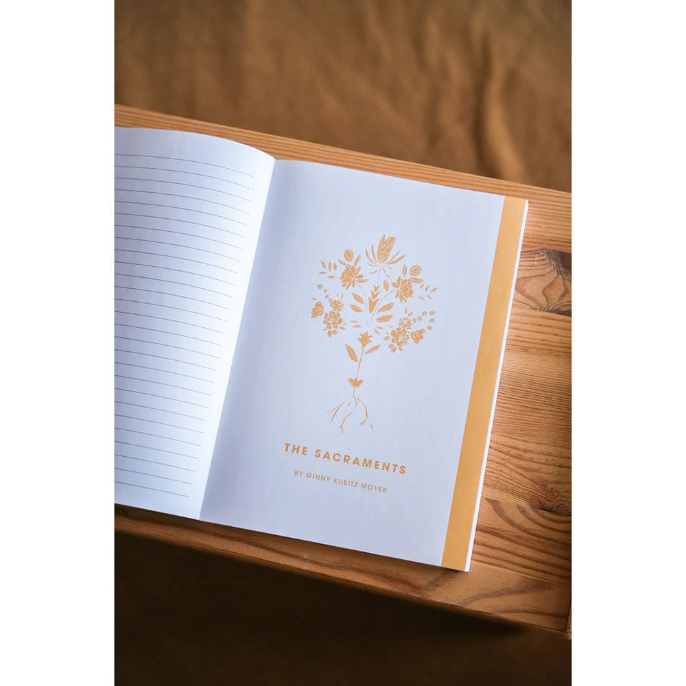 Rooted: A Study on The Catechism (Blessed Conversations Series)