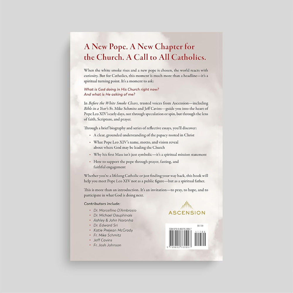 When the White Smoke Clears: A Guide to Pope Leo XIV's Early Days