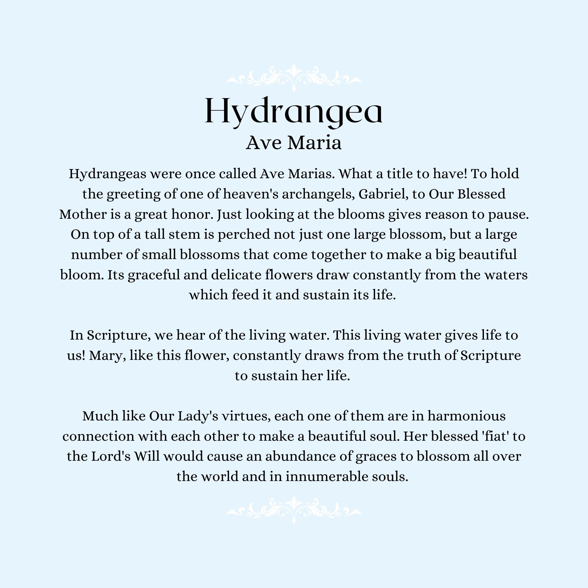 Our Lady's Garden: A Parent-Child Reader