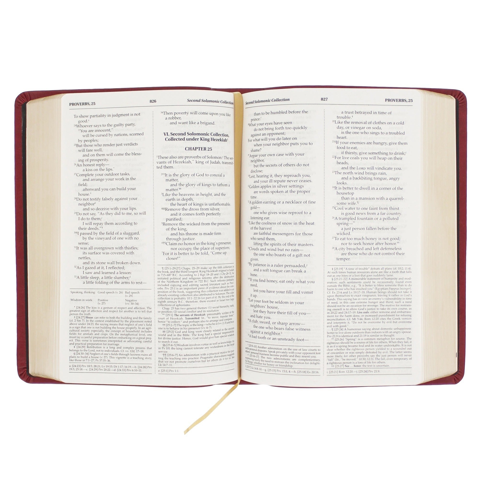 Burgundy Red Premium Ultra Soft Bible