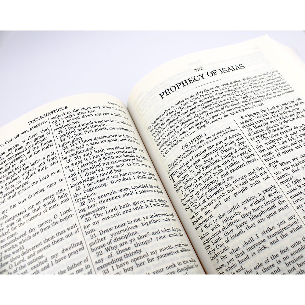 Douay Rheims Bible - Paperback