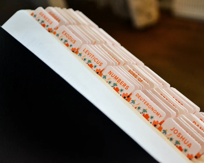 Set of bible tabs on a bible with a blurred background