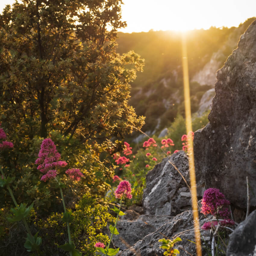 What is the only church in the world consecrated by an angel?