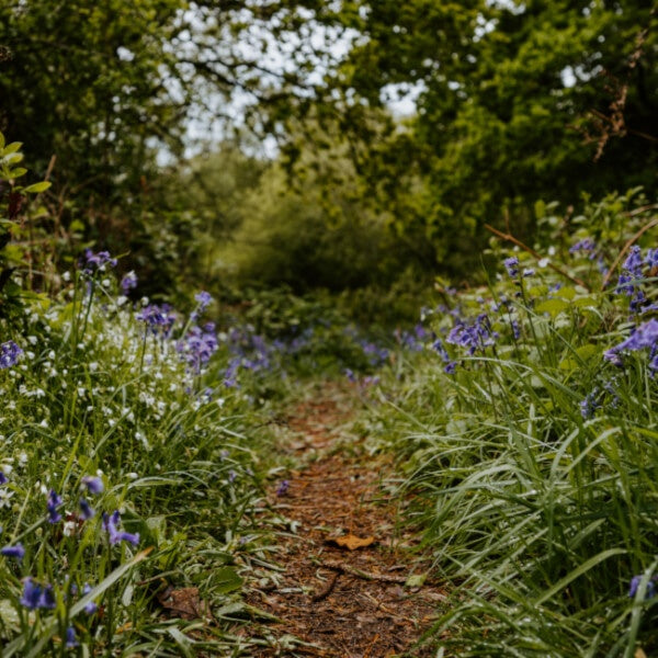 How do I follow St. Thérèse’s “Little Way”?