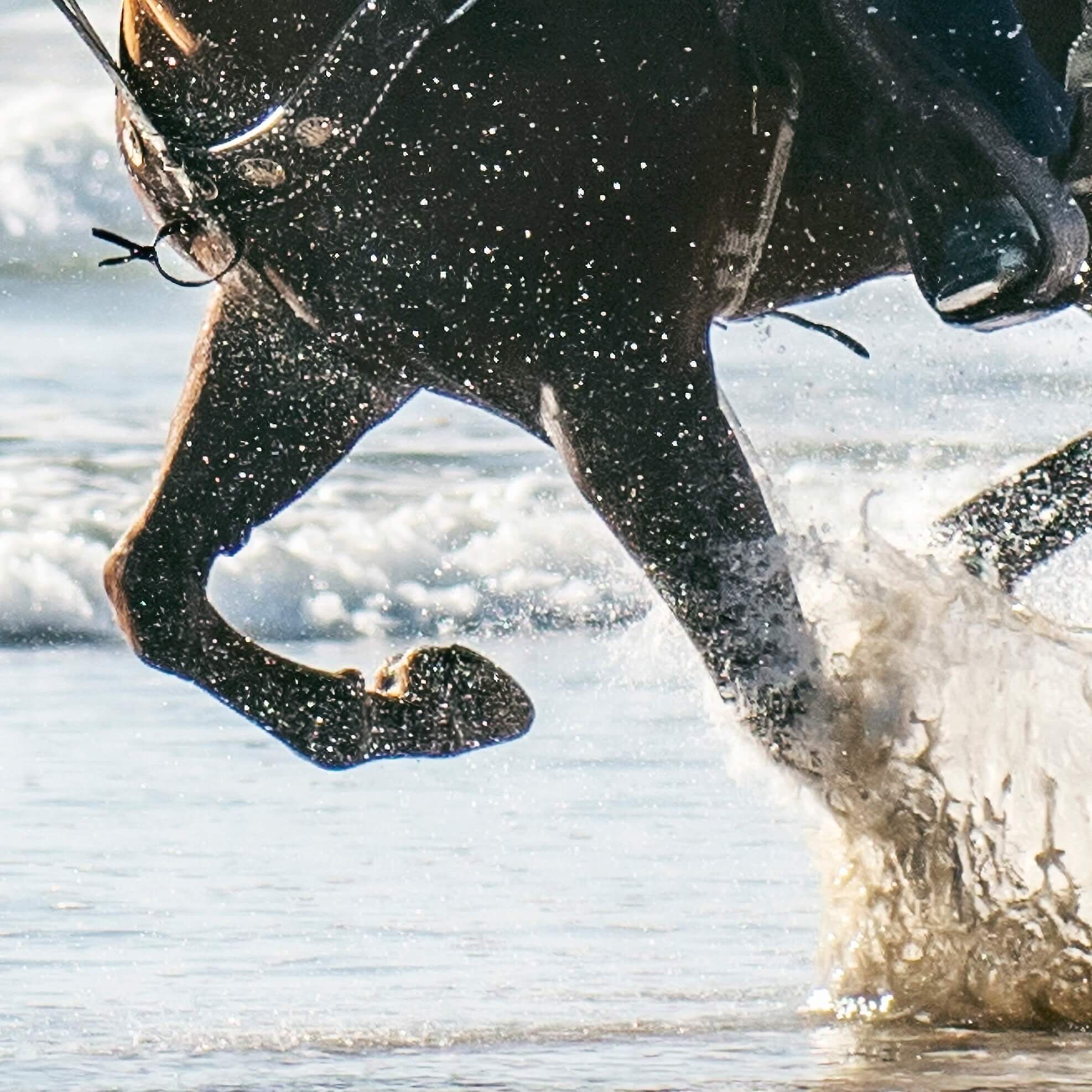 Which Catholic queen went herself to quell a rebellion—and succeeded?