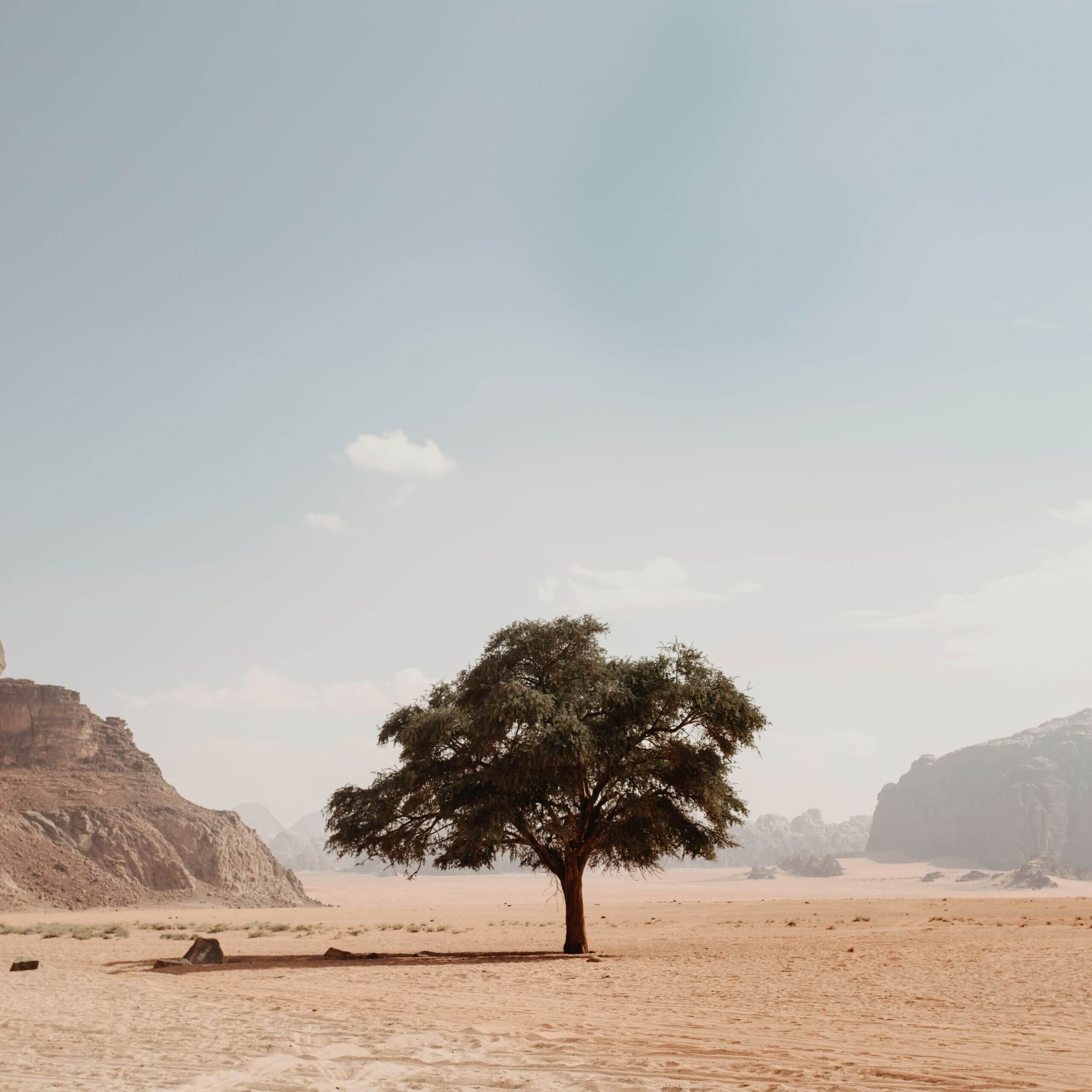 So, what is almsgiving really?