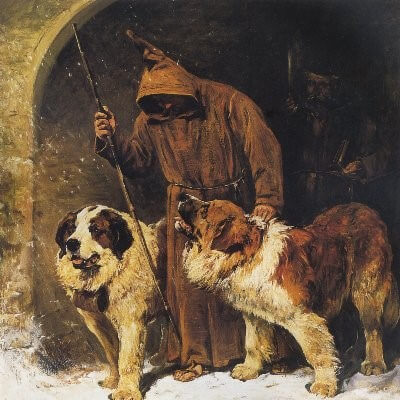 The “saintly” search-and-rescue dogs of the Alps