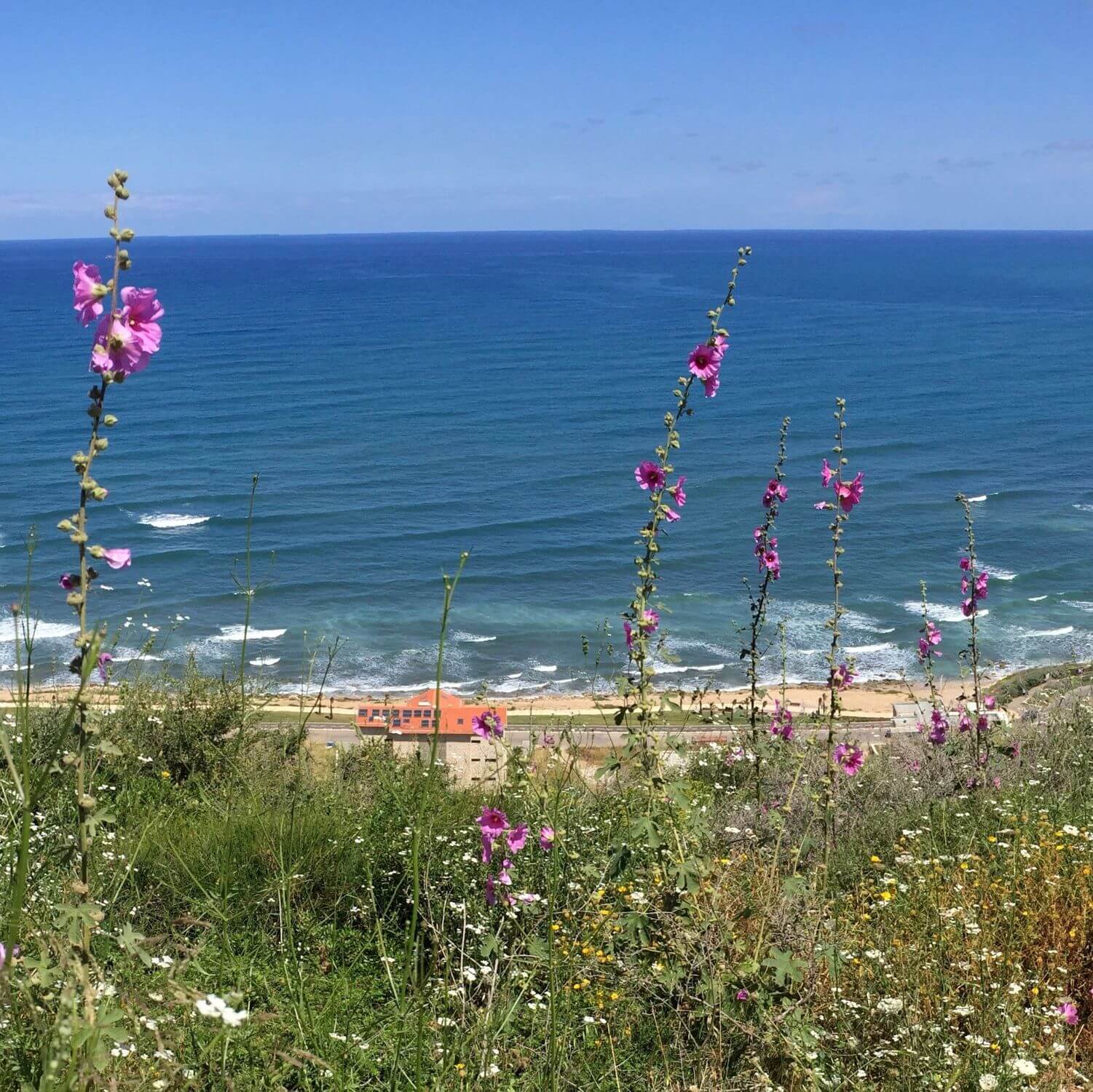 Where is Mount Carmel, and why is it so important?