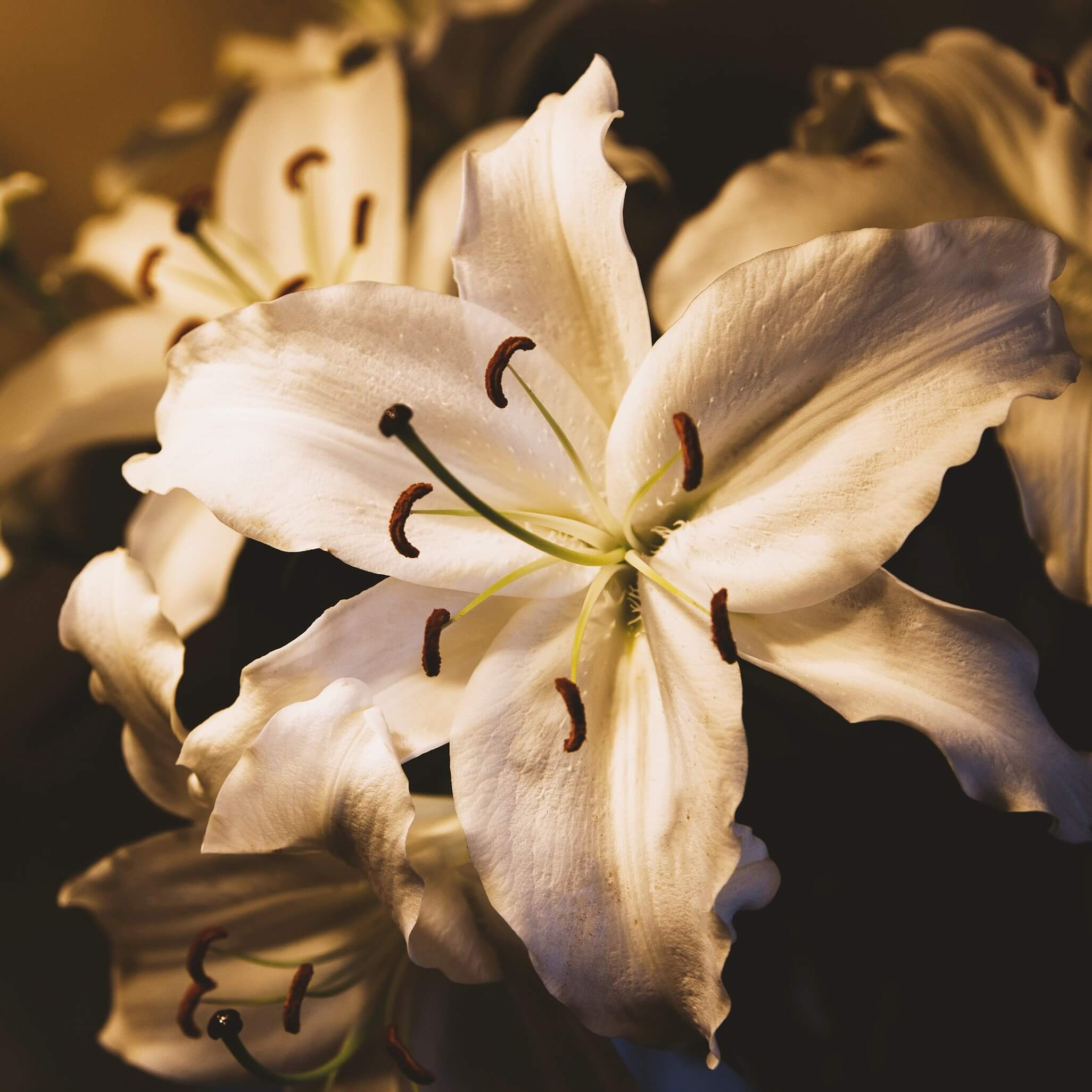 What happened to St. Maria Goretti’s murderer?