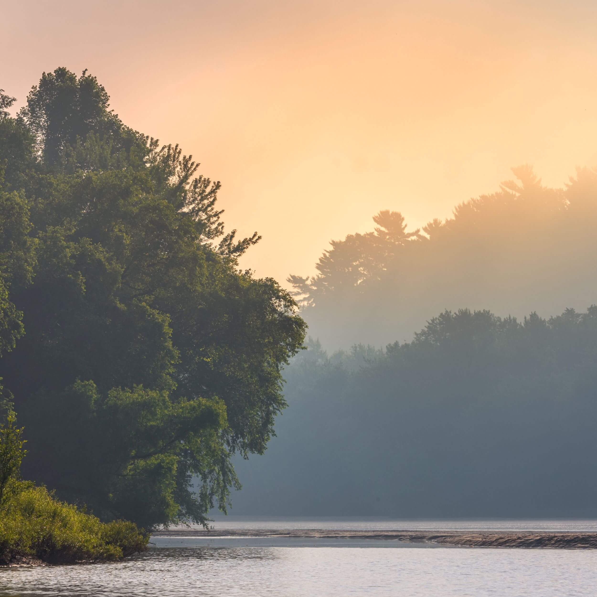 What is the virtue of recollection?