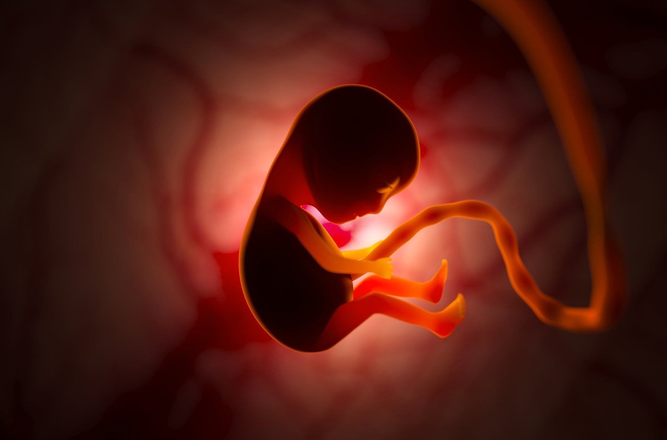 At what moment does an unborn child receive its soul?