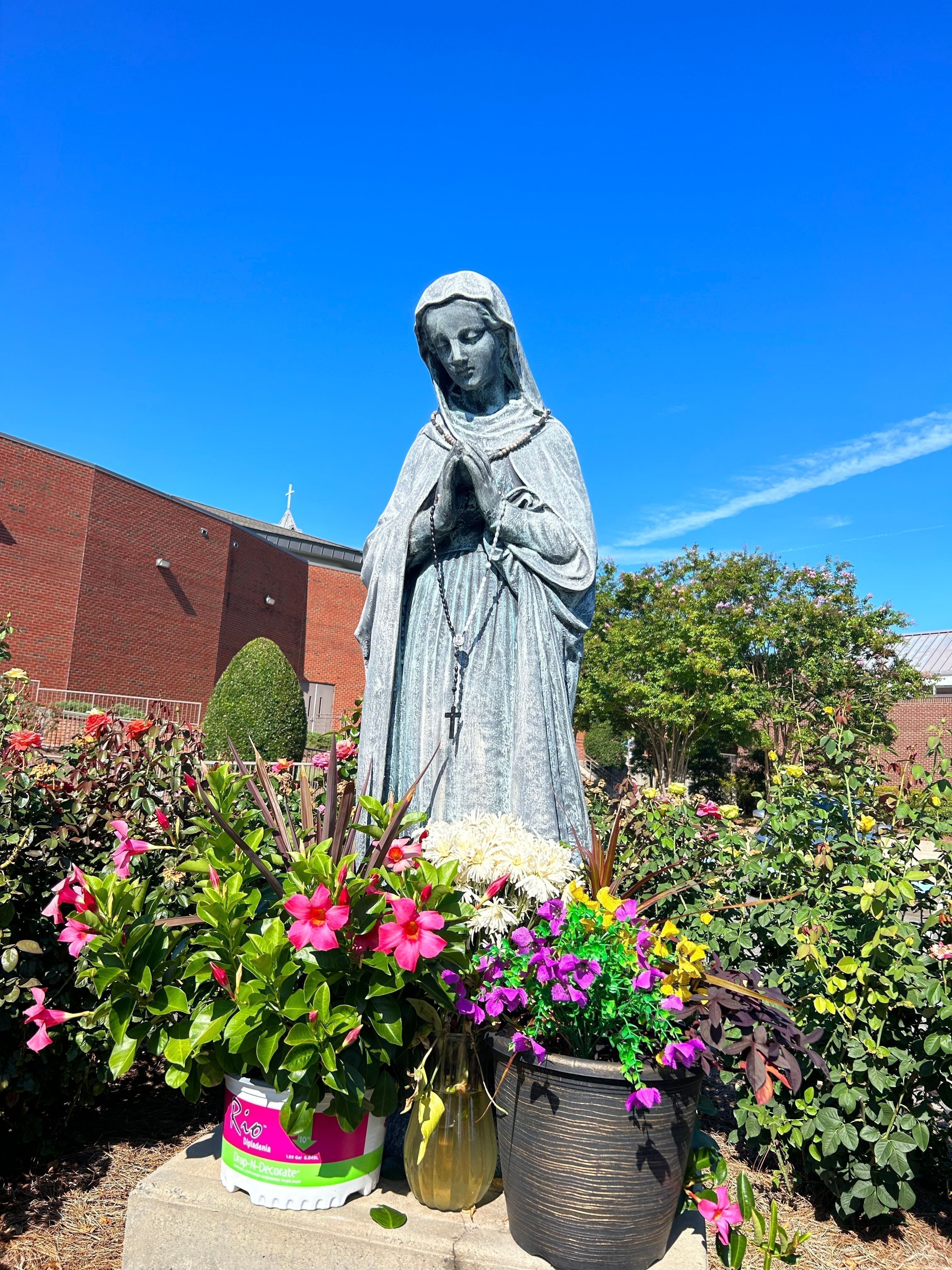 7 Simple Ways to Celebrate The Assumption of Mary