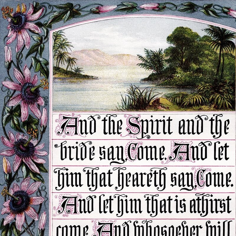 What flower is named for Christ’s Passion?