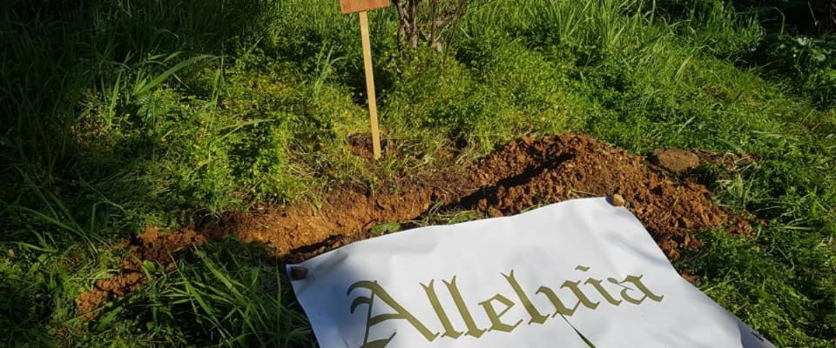 A white banner reading “Alleluia” laid on the grass beside a freshly dug hole, symbolizing the Burial of the Alleluia, with a small wooden sign in the background.