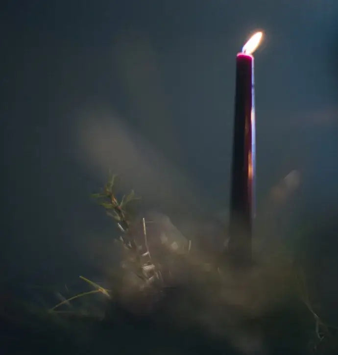 What do the liturgical colors of Advent signify?