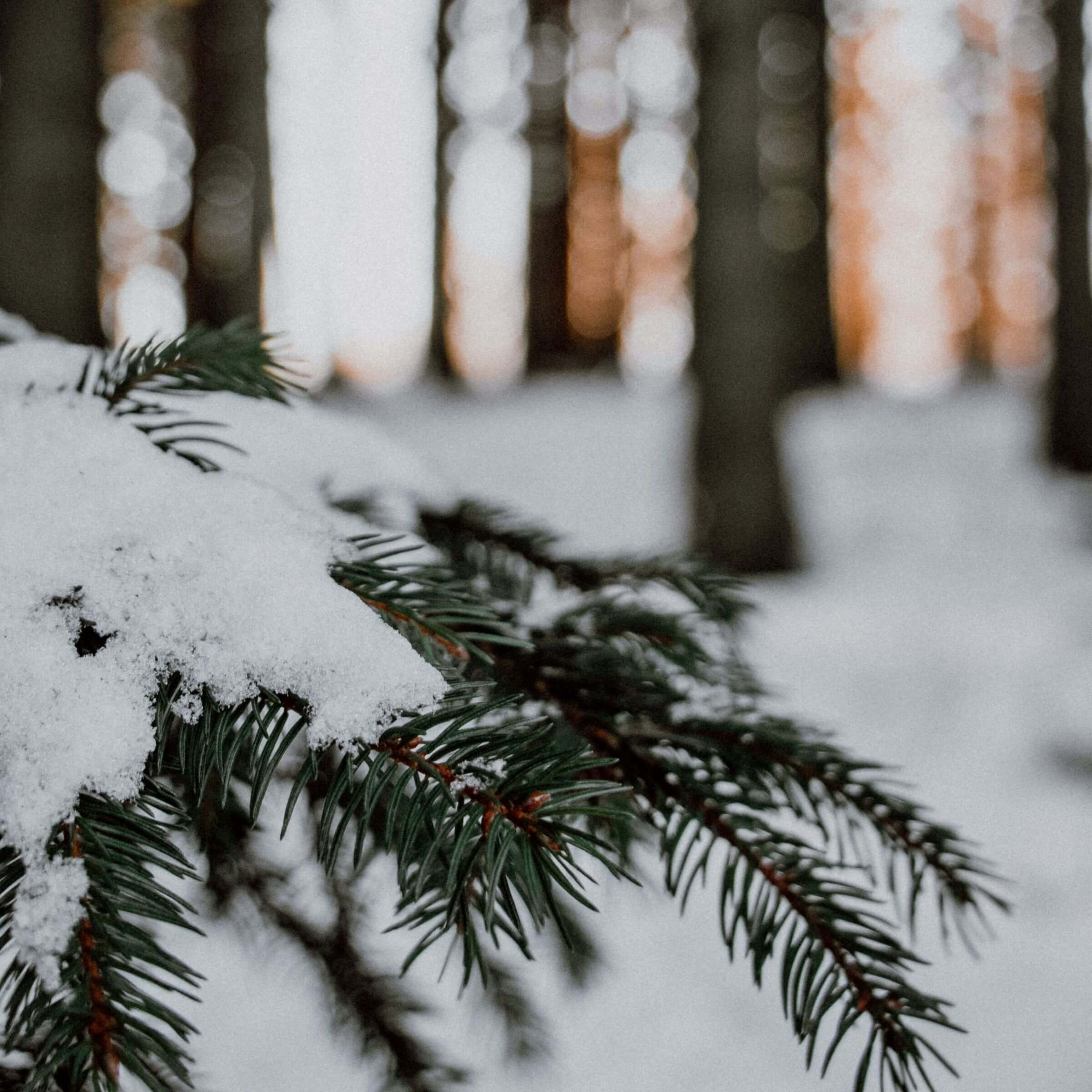 Which Christmas carol was written by a saint?