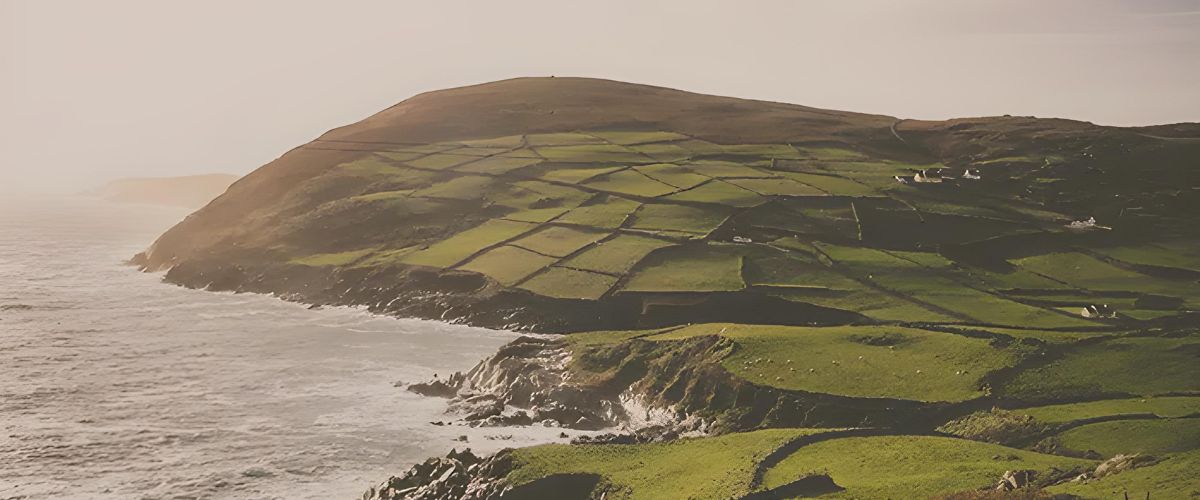 Green patchwork fields on a coastal hillside overlooking rocky cliffs and the ocean