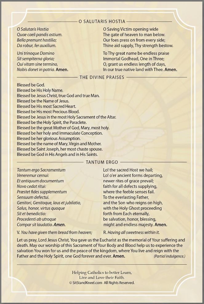 Prayers for Eucharistic Revival Large Folded Prayer Card - Multiple Quantities