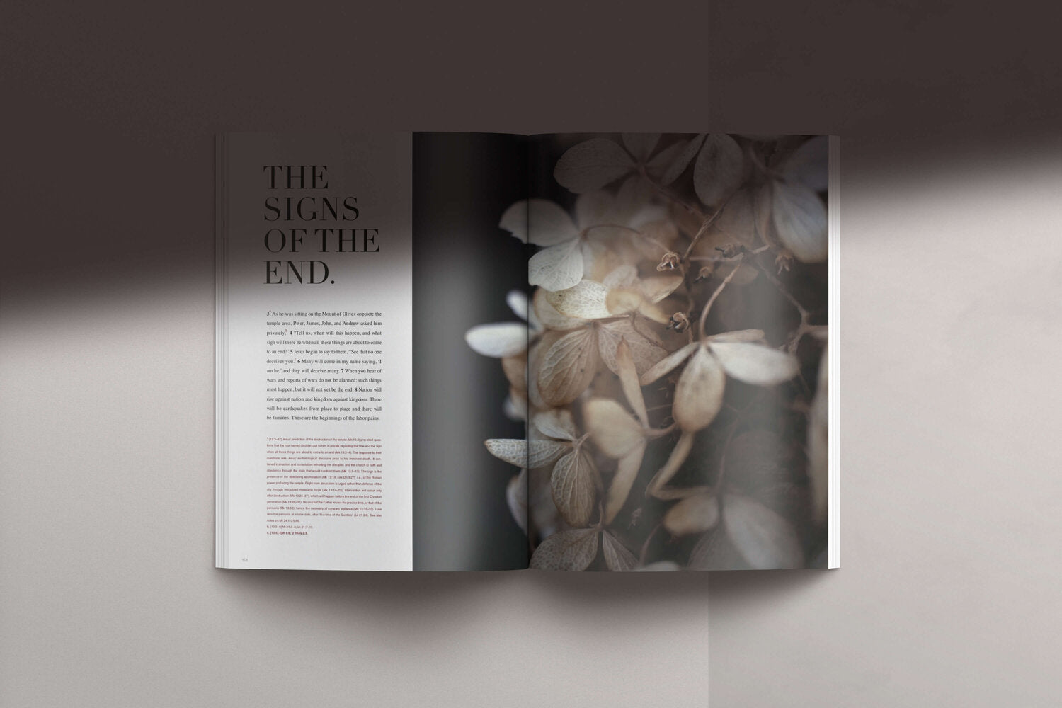 The Gospel of Mark (NABRE) - Contemplative Kindred Bible