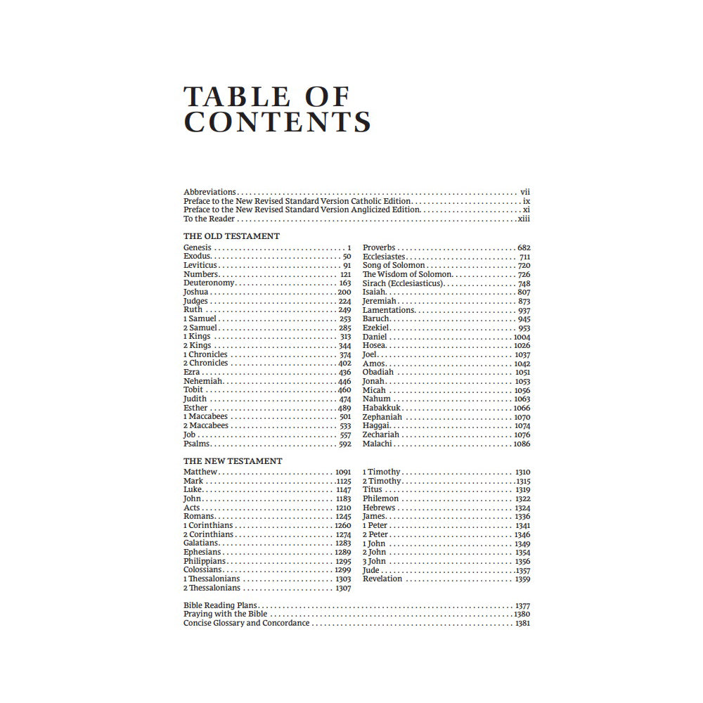 Table of contents for a bible or religious text, printed in black ink with a list of chapter titles and page numbers.