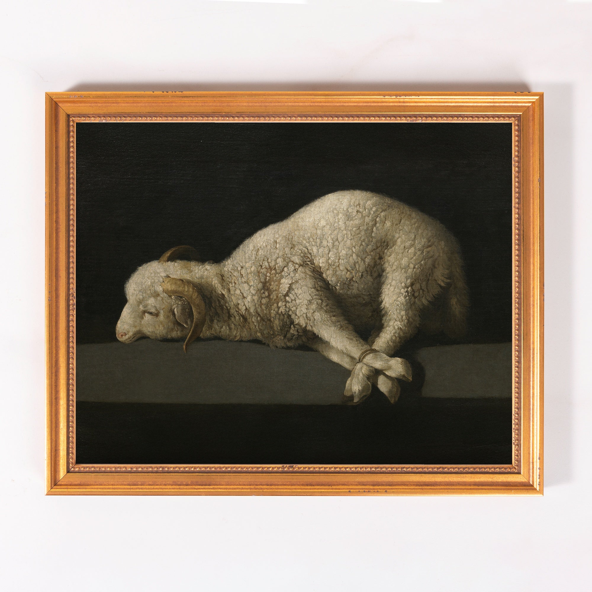 de Zurbaran's Agnus Dei Framed Canvas - Sacred Classics Collection