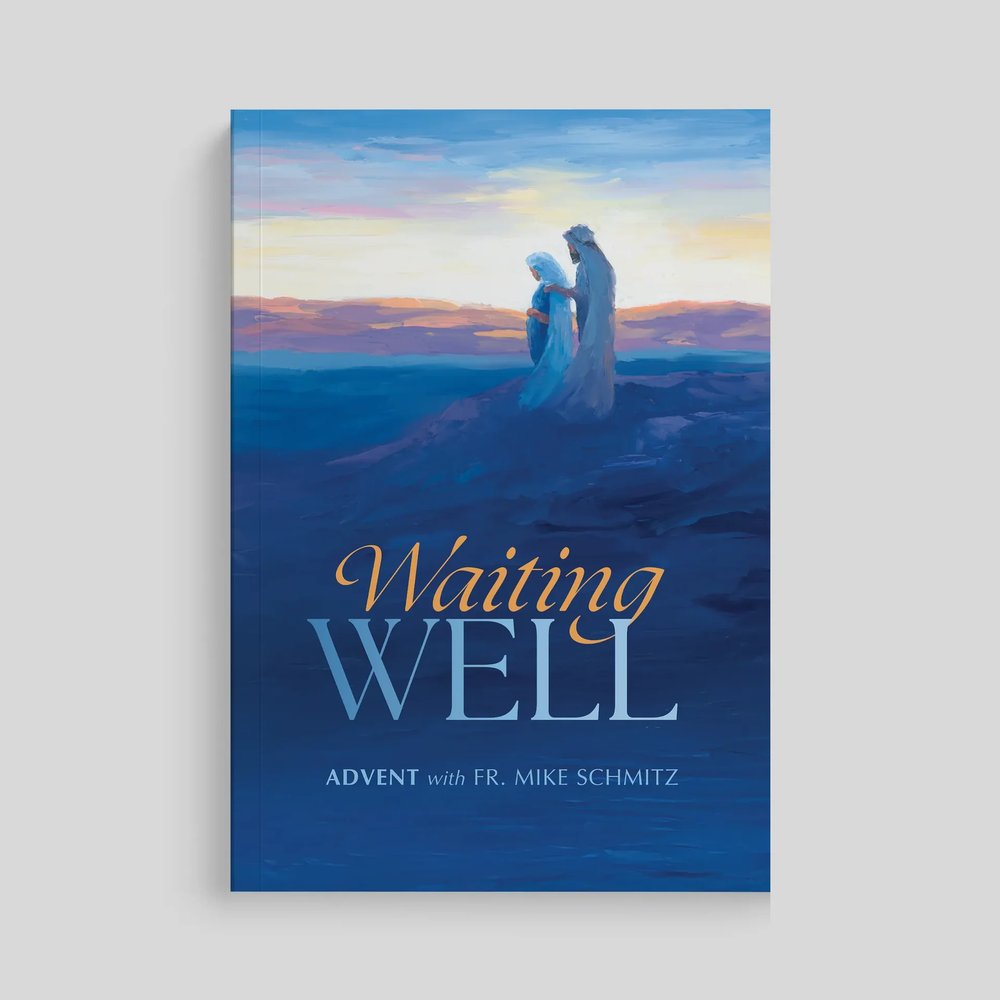 Waiting Well: Advent with Fr. Mike Schmitz, A Daily Prayer Journal