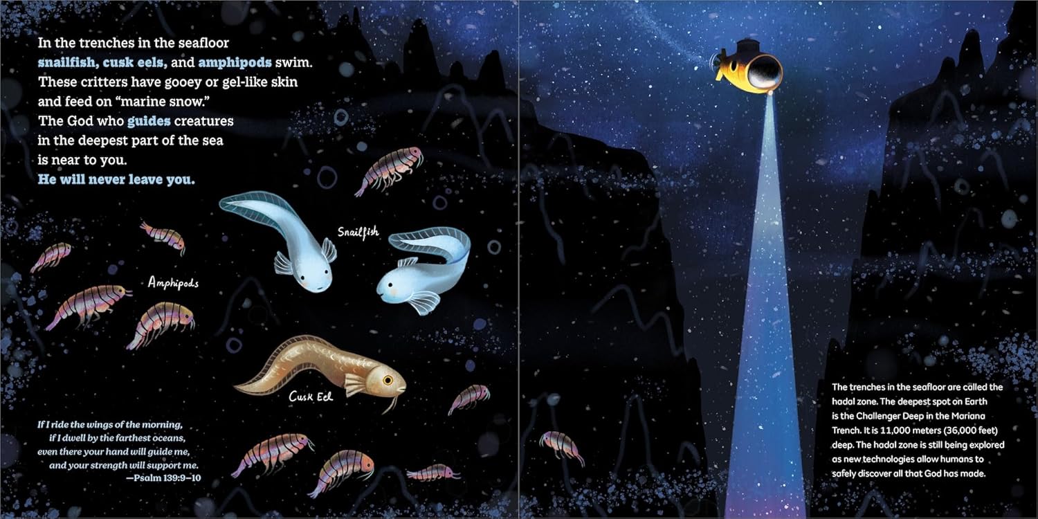 God's Little Oceanographer