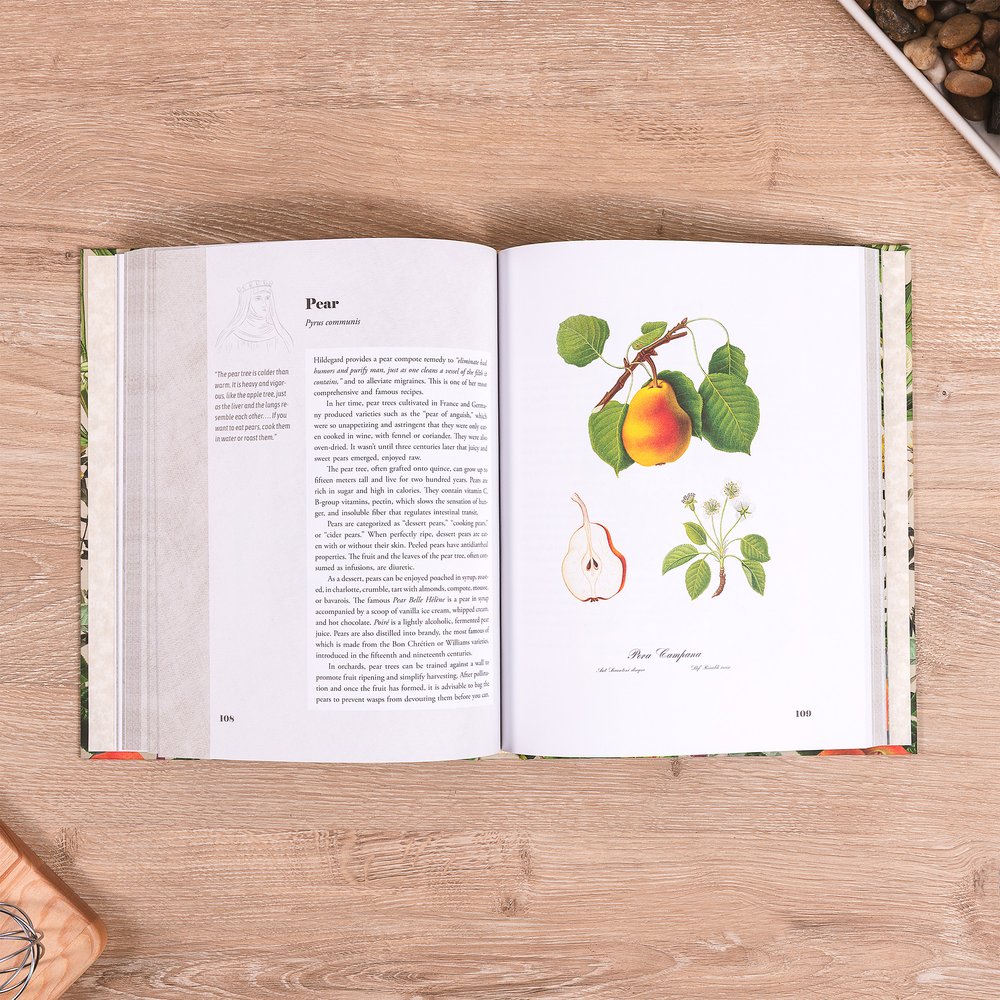 St. Hildegard's Garden: Recipes and Remedies for Healing Body and Soul