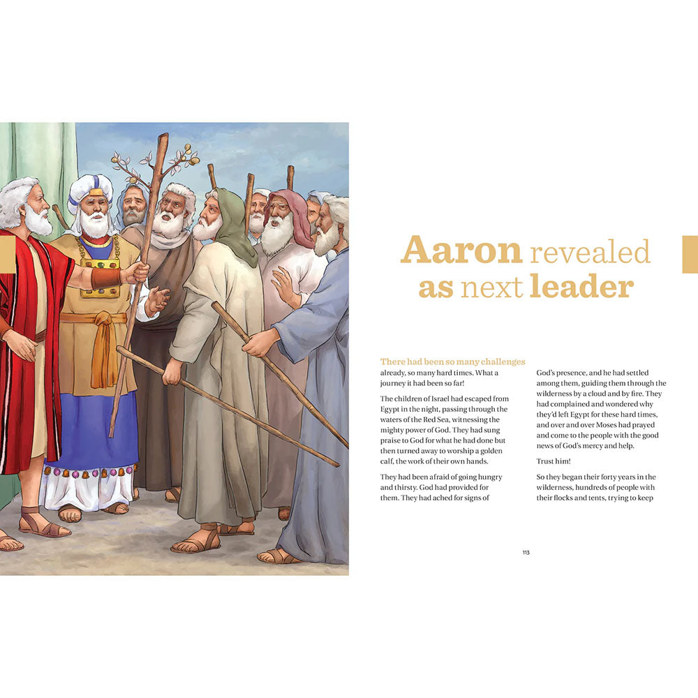 Great Adventure Kids Catholic Bible Chronicles