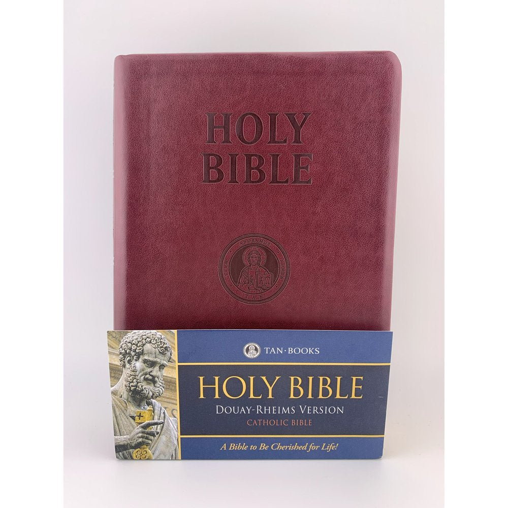 Douay Rheims Bible - Burgundy Cover