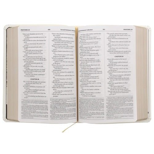 Open Bible shows pages filled with text in small font, has cream colored pages and white cover, ribbon page marker visible.