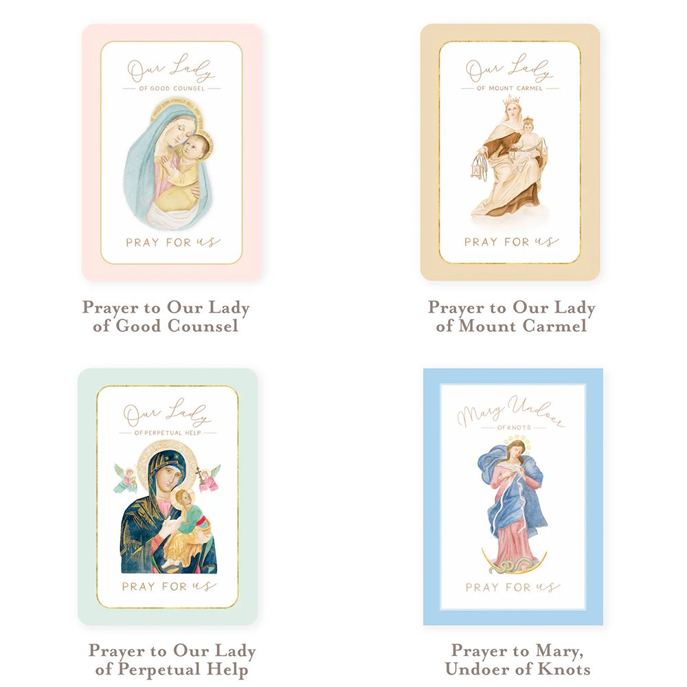 Popular Marian Devotions Prayer Card Bundle (12 Cards)