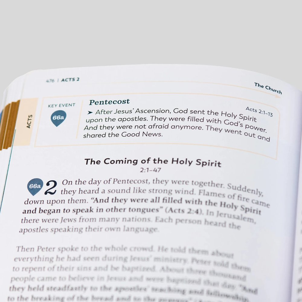 The Great Adventure Catholic Bible for Young Beginners